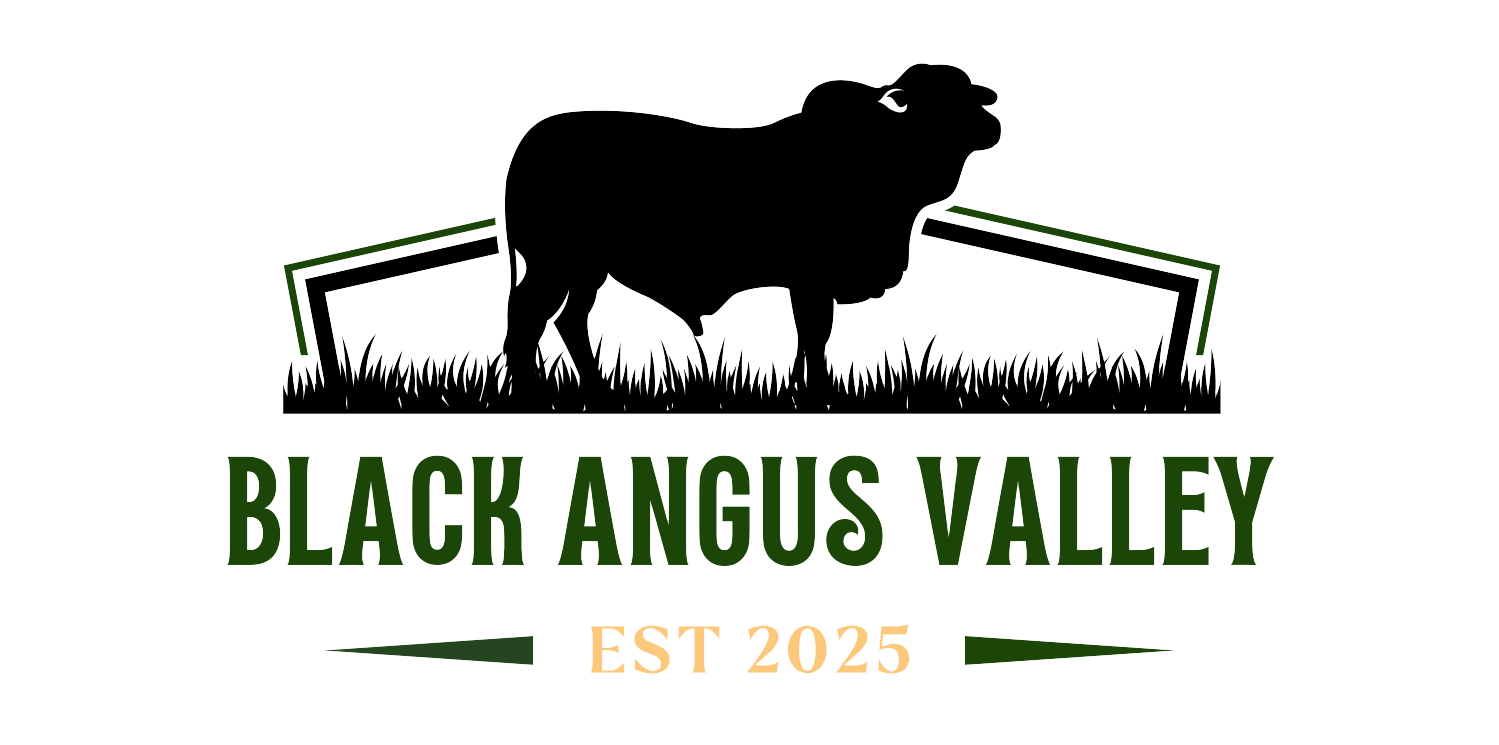 Black Agnus Vally - Transparant 2 logo